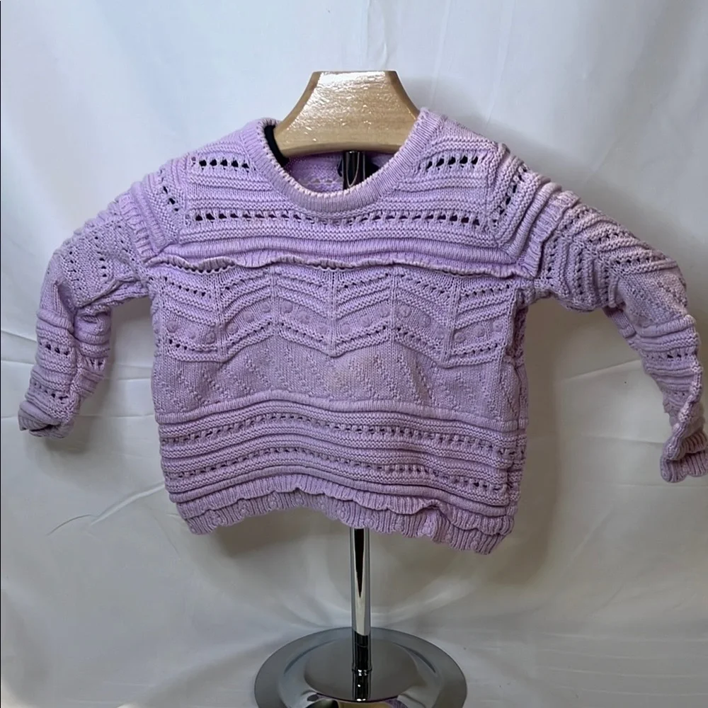 GAP Purple Crew Neck Sweater with Chevron Pattern